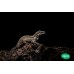 Gecko gárgola - Rhacodactylus auriculatus